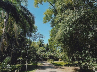 Terreno, 539 m² - Foto 3