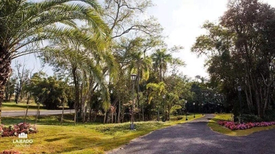 Terreno, 502 m² - Foto 4