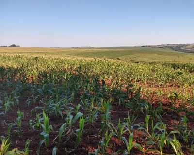 Fazenda-Sítio-Chácara - Foto 2