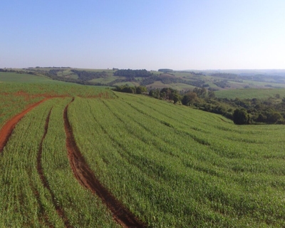Fazenda-Sítio-Chácara - Foto 4