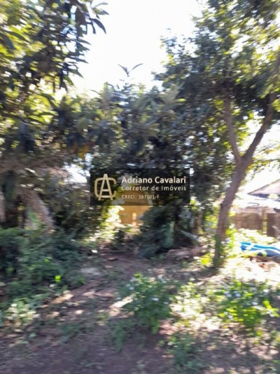 Chácara, 2 quartos, 2164 m² - Foto 2