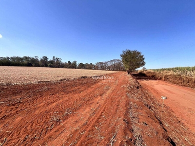 Terreno, 10 hectares - Foto 3