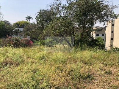 Depósito-Galpão - Foto 4