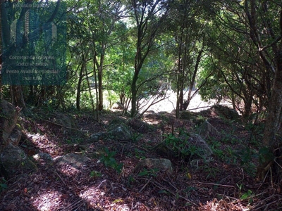 Terreno, 1575 m² - Foto 2