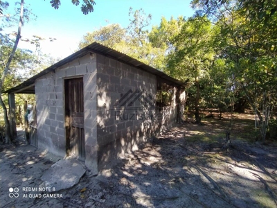 Chácara, 2 quartos, 4344 m² - Foto 3