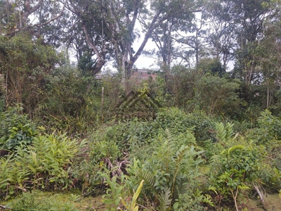 Terreno, 275 m² - Foto 5