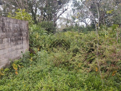 Terreno, 275 m² - Foto 2