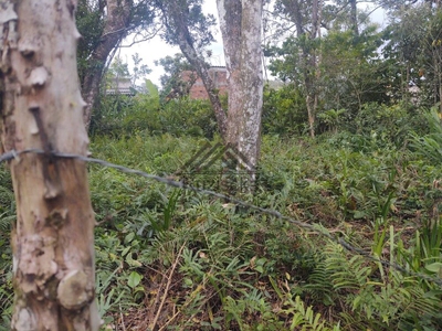 Terreno, 275 m² - Foto 3