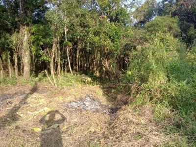 Terreno, 1250 m² - Foto 5