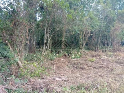 Terreno, 1250 m² - Foto 3