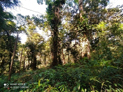 Terreno, 1000 m² - Foto 5