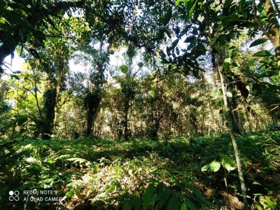 Terreno, 1000 m² - Foto 3