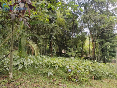 Chácara, 3 quartos, 6007 m² - Foto 3