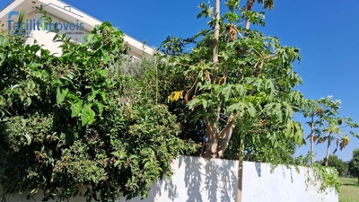 Sobrado, 2 quartos, 254 m² - Foto 3