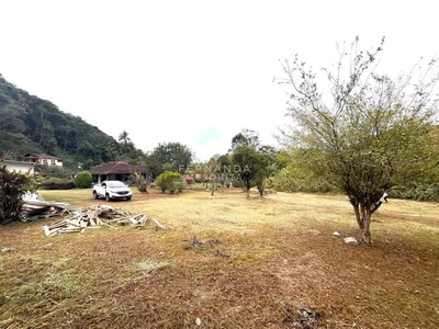 Sítio, 3 quartos, 150 m² - Foto 3