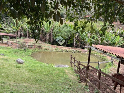 Sítio, 3 quartos, 120 m² - Foto 4