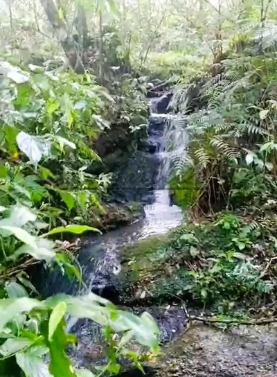 Chácara, 5 m² - Foto 1