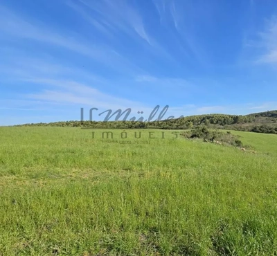 Sítio, 62 m² - Foto 4