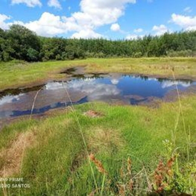 Fazenda-Sítio-Chácara, 52 m² - Foto 4