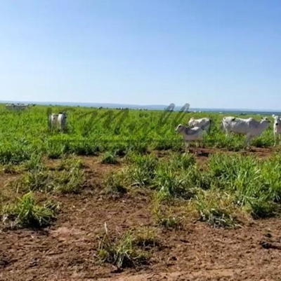 Fazenda, 2856 m² - Foto 2