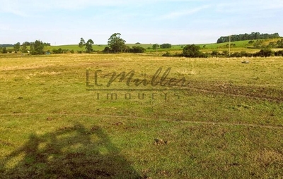 Fazenda-Sítio-Chácara, 56 m² - Foto 3