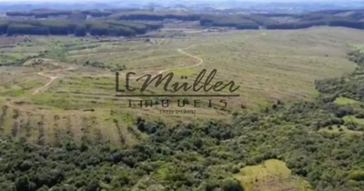 Fazenda, 699 m² - Foto 2