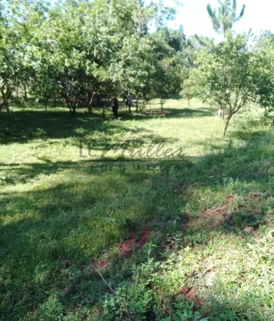 Chácara, 2 m² - Foto 2