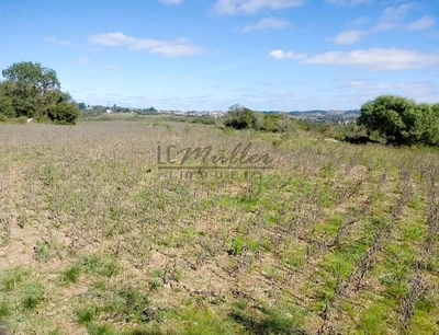 Fazenda, 50 m² - Foto 4