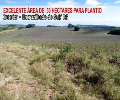 Fazenda, 50 m² - Foto 1