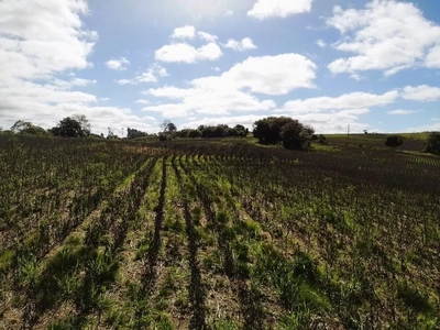 Fazenda, 50 m² - Foto 2