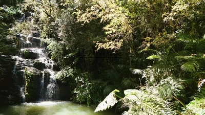 Chácara, 2 m² - Foto 2