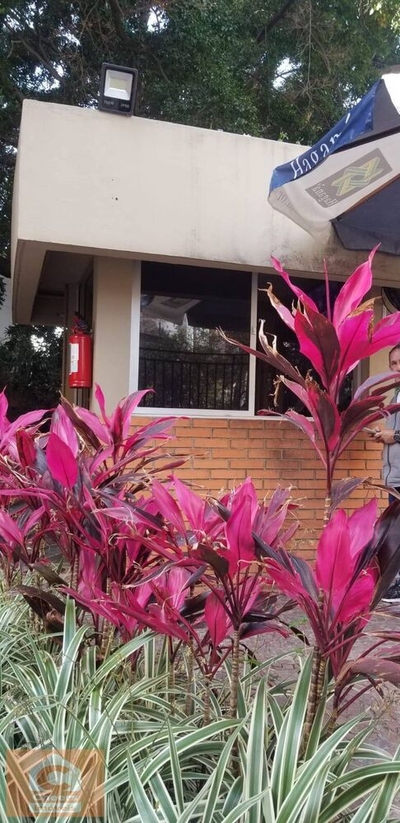 Apartamento, 1 quarto, 50 m² - Foto 2