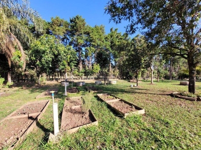 Chácara, 4 quartos, 2 hectares - Foto 2