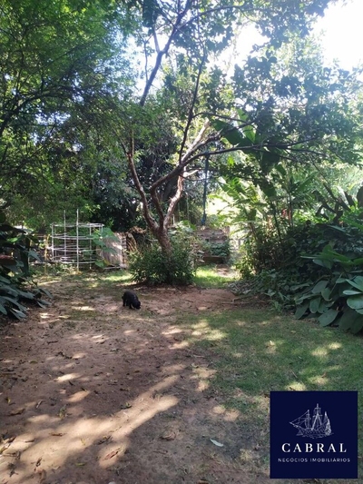 Terreno, 2100 m² - Foto 4