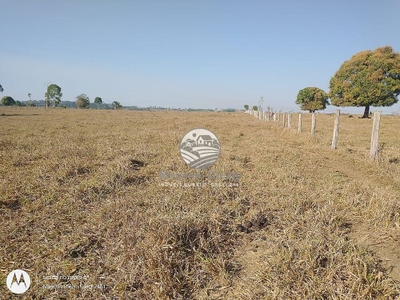 Fazenda-Sítio-Chácara - Foto 1