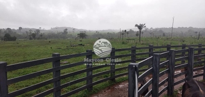 Fazenda-Sítio-Chácara - Foto 5