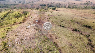 Fazenda-Sítio-Chácara - Foto 5