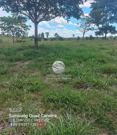 Fazenda-Sítio-Chácara - Foto 4