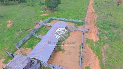 Fazenda-Sítio-Chácara - Foto 1