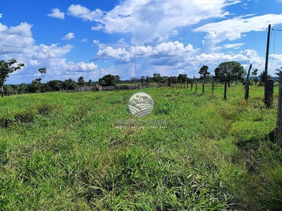 Fazenda-Sítio-Chácara - Foto 4