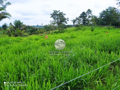 Fazenda-Sítio-Chácara - Foto 4