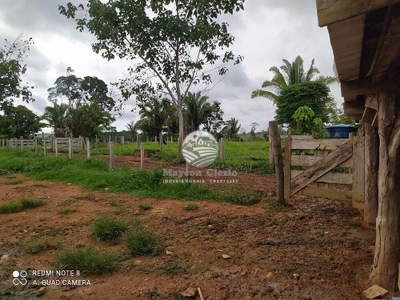 Fazenda-Sítio-Chácara - Foto 5