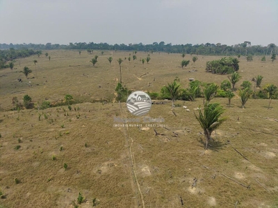 Sítio, 484000 m² - Foto 2