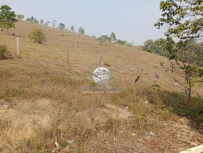 Fazenda-Sítio-Chácara, 26 hectares - Foto 3