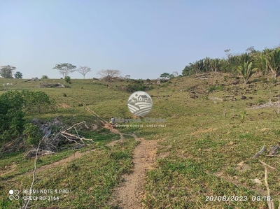 Sítio, 450000 m² - Foto 1