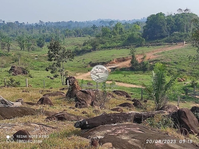 Sítio, 450000 m² - Foto 4