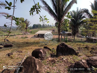 Sítio, 450000 m² - Foto 2