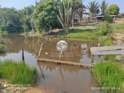 Sítio, 450000 m² - Foto 3