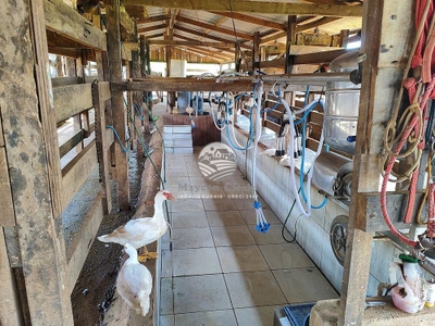 Fazenda-Sítio-Chácara - Foto 2