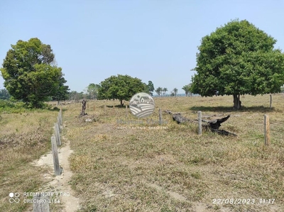 Sítio, 990000 m² - Foto 4